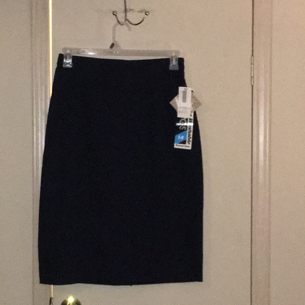 Briggs women’s size 14 skirt black